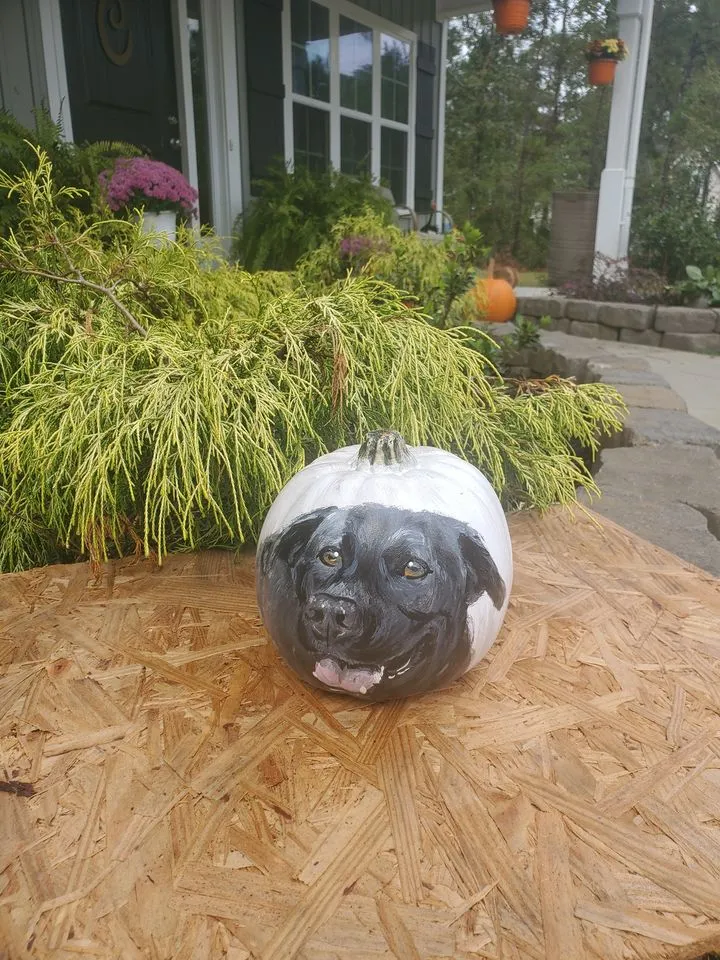 9" Rustic White Pumpkin Pet Portrait