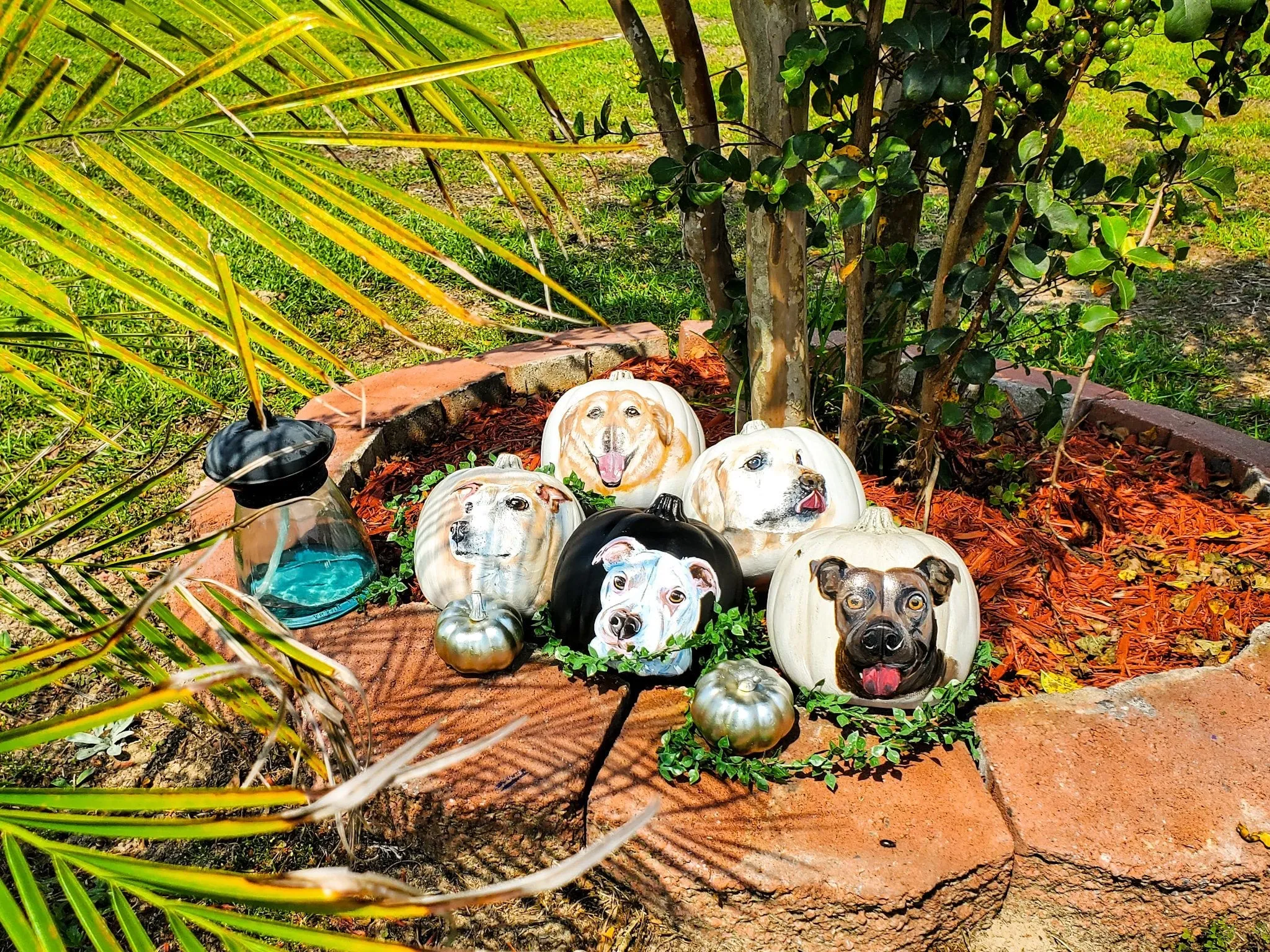 9" Rustic White Pumpkin Pet Portrait