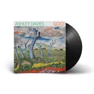 Ashley Davies / Gold LP Vinyl