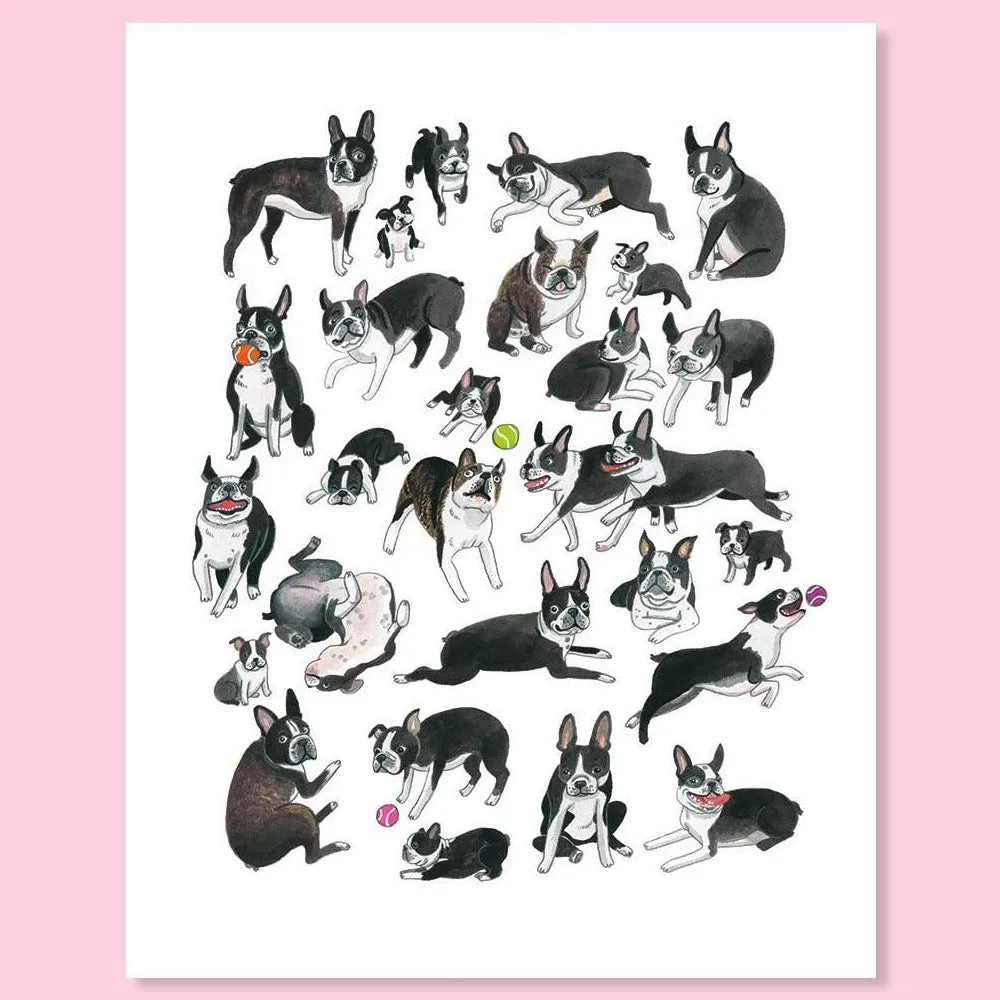 Boston Terrier Art Print