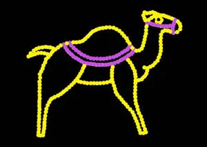 Camel