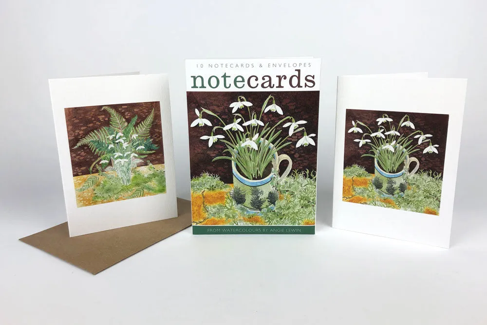 Card Pack Snowdrops and Ferns & Snowdrops and Lichen