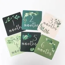 Chelsea and Marbles Memory Card Sets