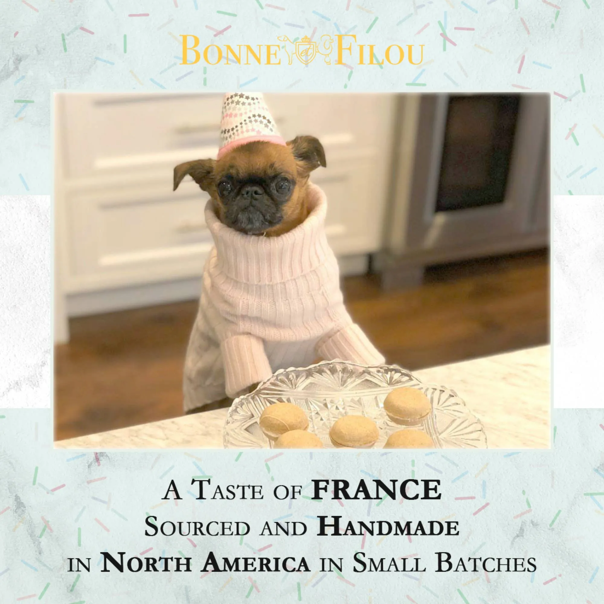 Dog Macarons | Treats | Gifts (3 Count)