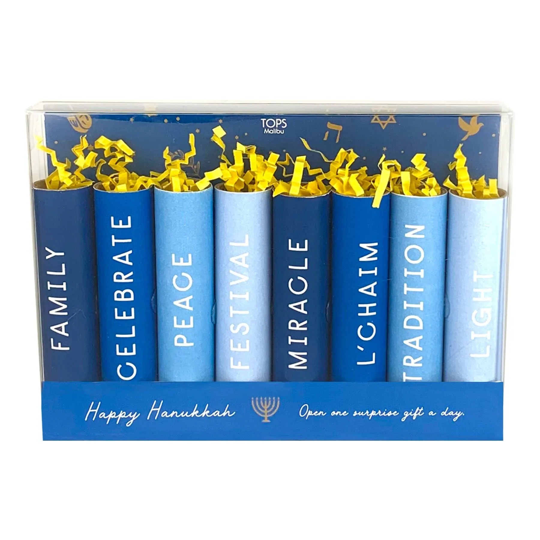 Eight Days of Hanukkah Suprises