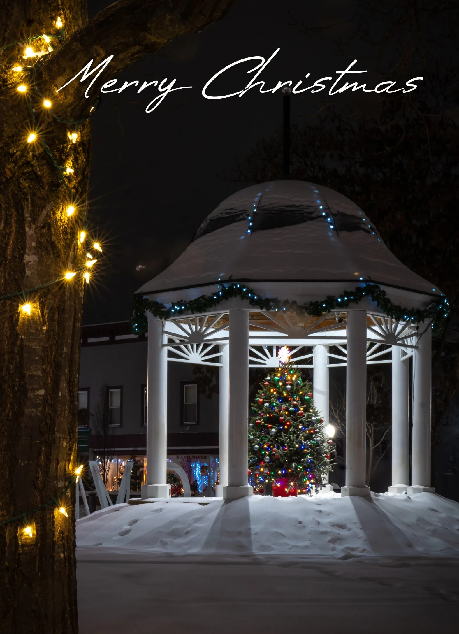 Front Royal Gazebo at Christmas Holiday Card