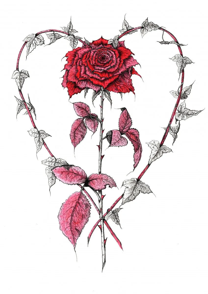 Ivy Heart with Cerise Rose, Vine and Leaves