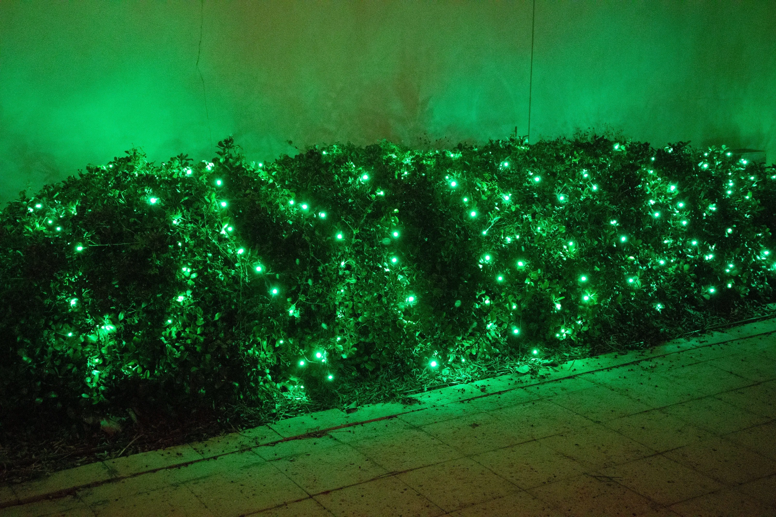 M5 LED Christmas Lights 35L Green