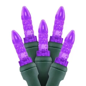 M5 LED Christmas Lights 50L Purple