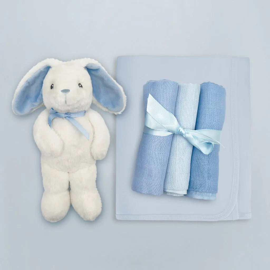 New Parents and Baby Luxury Gift Basket, Blue