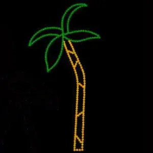 Palm Tree