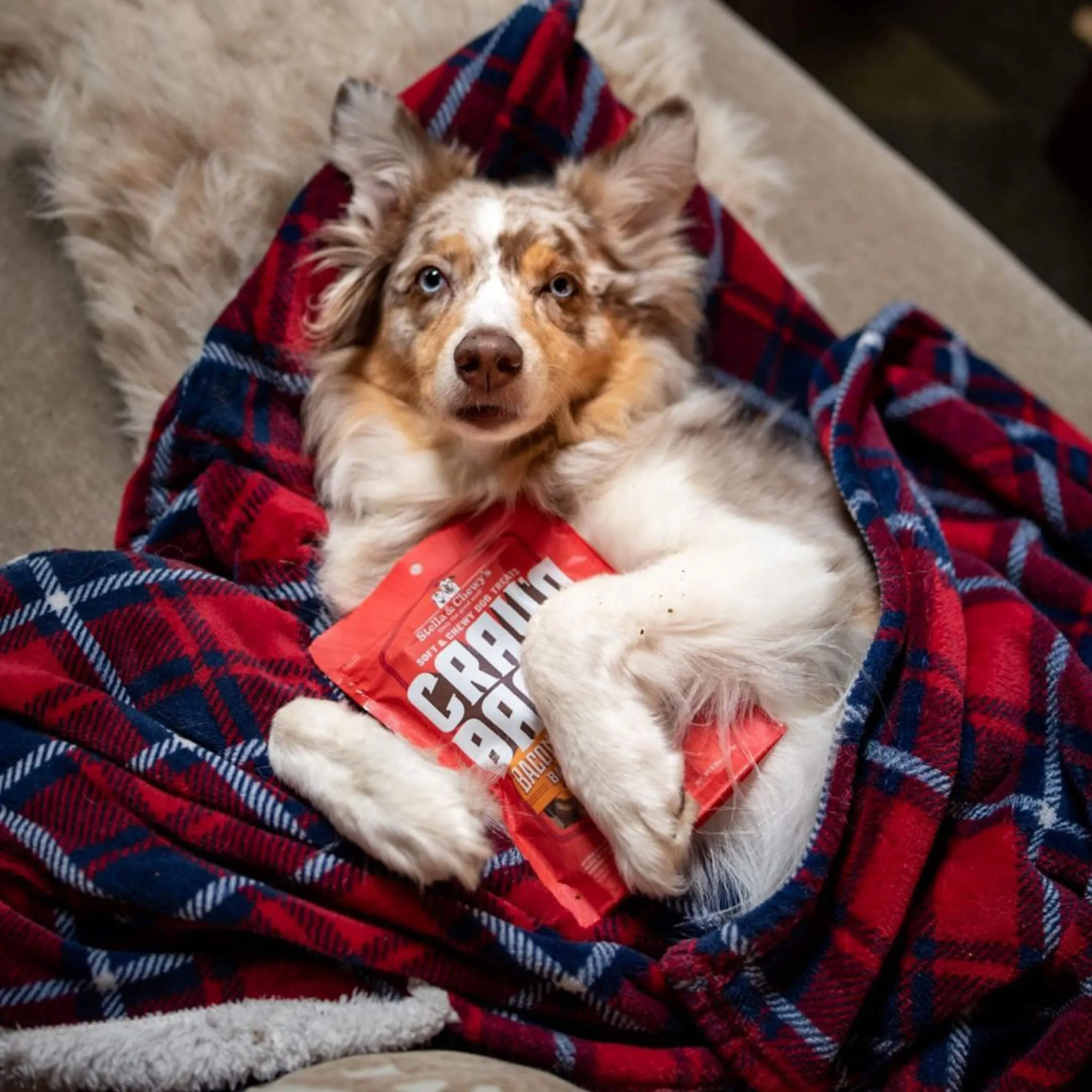 Stella & Chewy's Crav'n Bac'n Bites Dog Treats