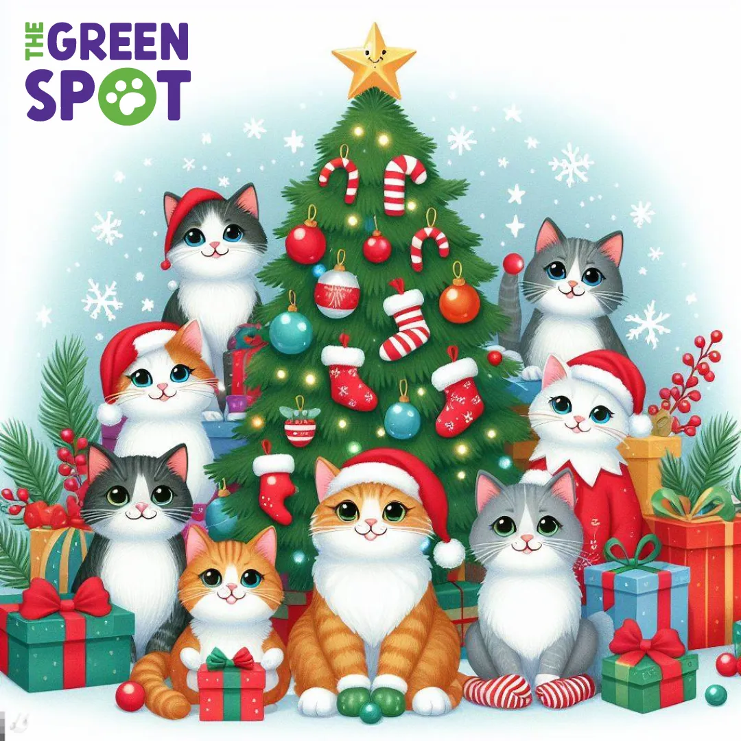 Surprise Gifts from Santa Paws - for Cats!